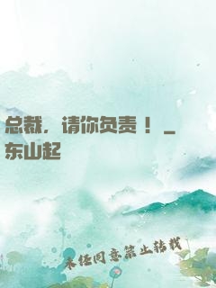 总裁，请你负责 ！